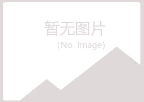 河池欢心化学有限公司